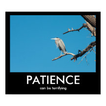 PACIÊNCIA, pode ser Poster Demotivacional assustad