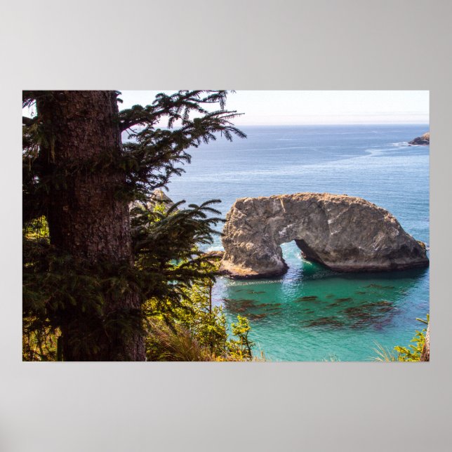 Pacific North West Ocean View Poster (Frente)