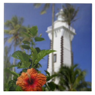 Pacífico Sul, Polinésia Francesa, Taiti. Hibisco