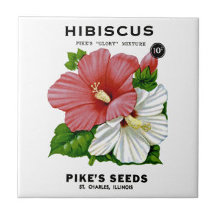 Pacote da semente do vintage do hibiscus