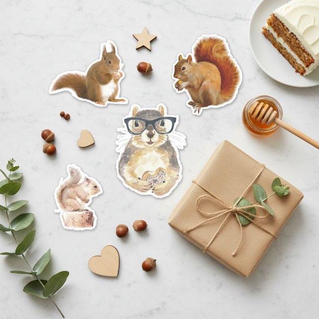 Pacote De Adesivos De Esquilo Cortado (Cute Assorted Squirrel Stickers)