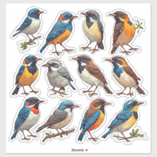 Pacote de Adesivos de Ilustração de Pássaros da Pr