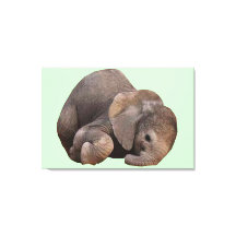 Pacote de Arte Canvas de Alegria