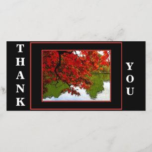 Pacote de cartões de agradecimentos de 10 - Cena 