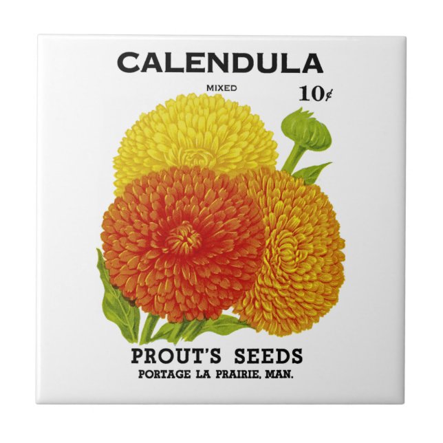 Pacote de Semente de Vintagem do Calendário (Frente)