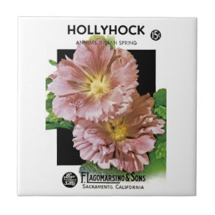 Pacote de Semente Hollyhock Vintage