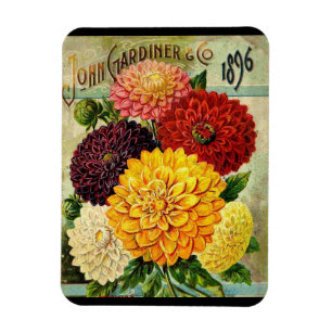 Pacote de Sementes de Flores Antigas - ímã Flexíve