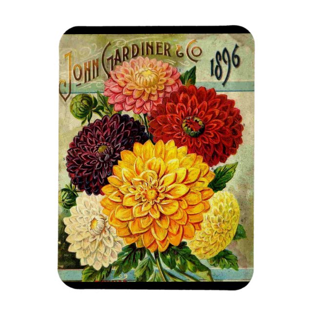 Pacote de Sementes de Flores Antigas - ímã Flexíve (Vertical)