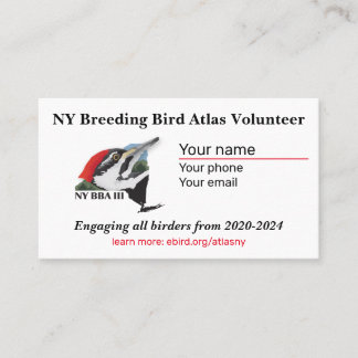 Padrão, Cartão de visita de 3,5" x 2,0"