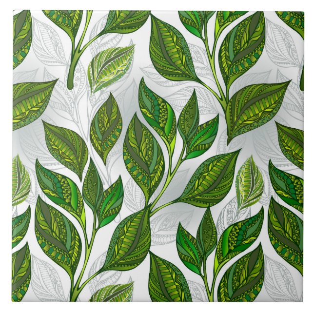 Padrão contínuo com folhas de chá verde (Frente)