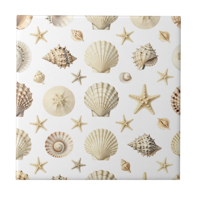 Padrão contínuo de estrela-do-mar e conchas marinh (Frente)