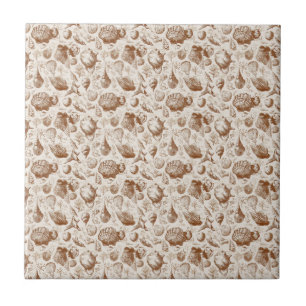 Padrão Costeiro Toile de Conchas Antigas (2)