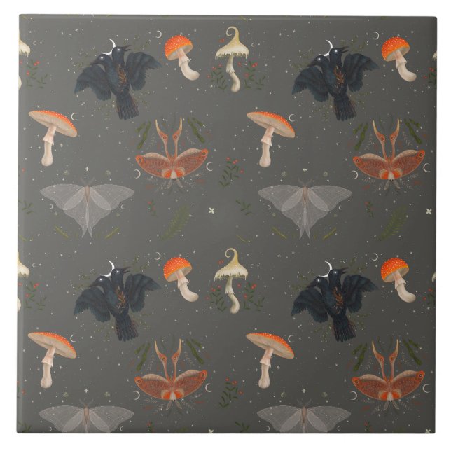 padrão da borboleta (Frente)