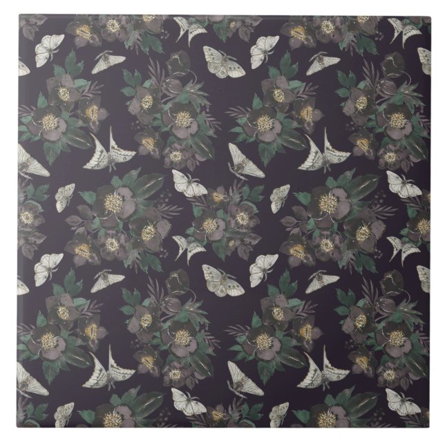 padrão da borboleta (Frente)