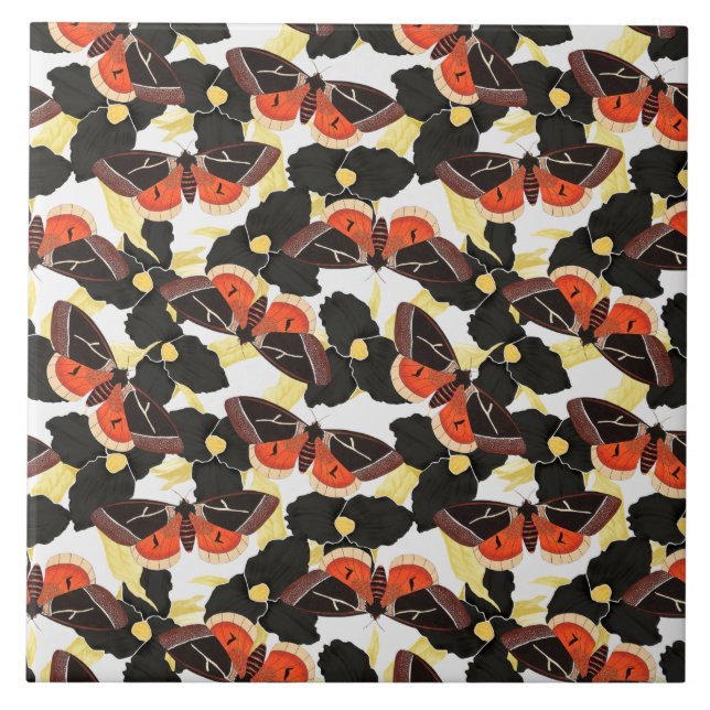 Padrão da borboleta da mariposa (Frente)