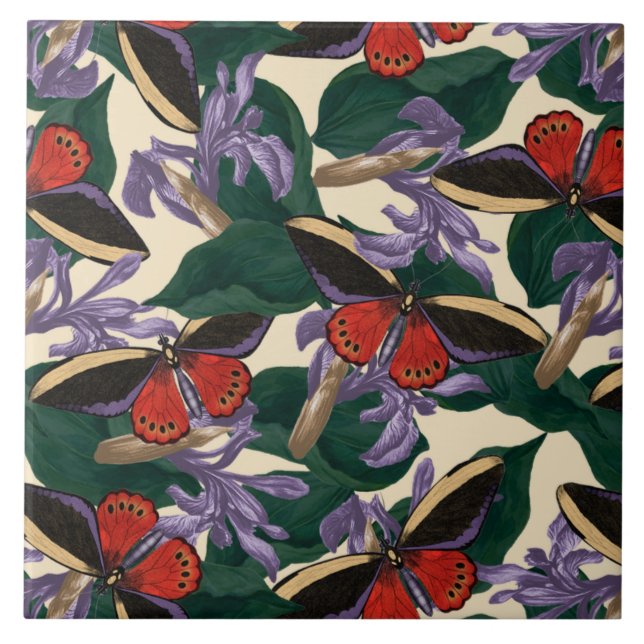 Padrão da borboleta da mariposa (Frente)