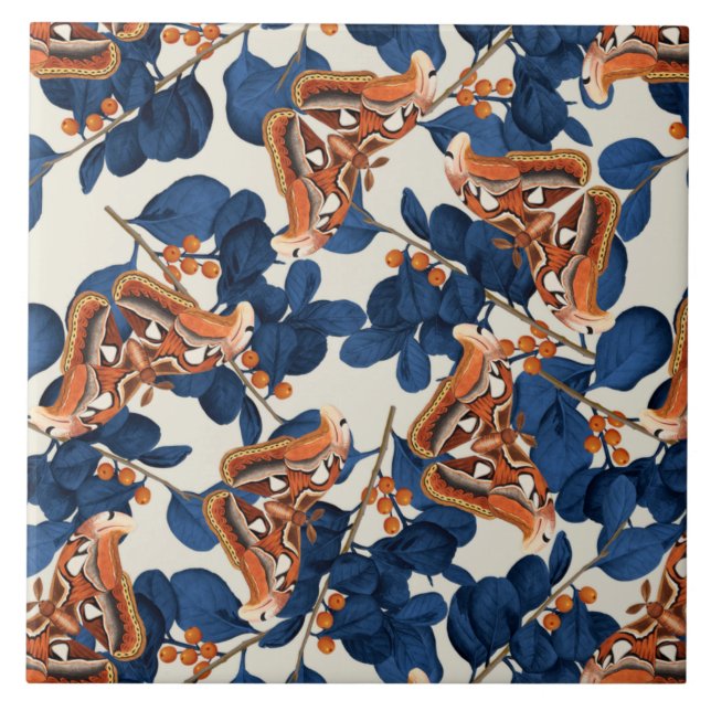 Padrão da borboleta da mariposa (Frente)