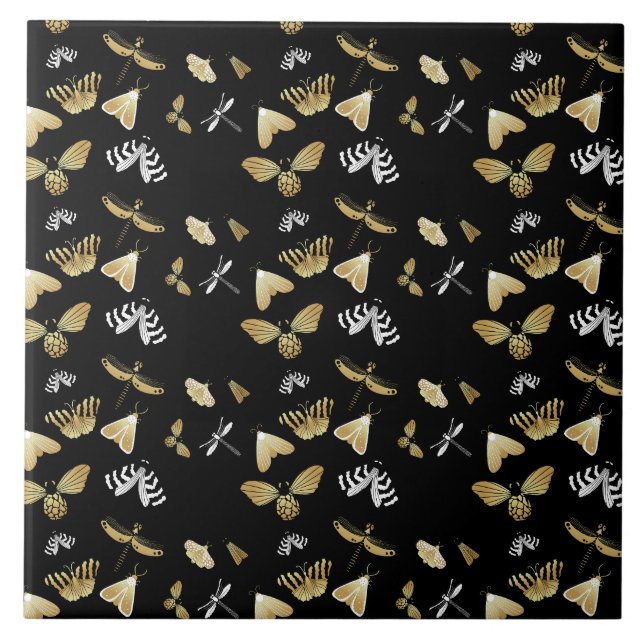 Padrão da borboleta da mariposa (Frente)