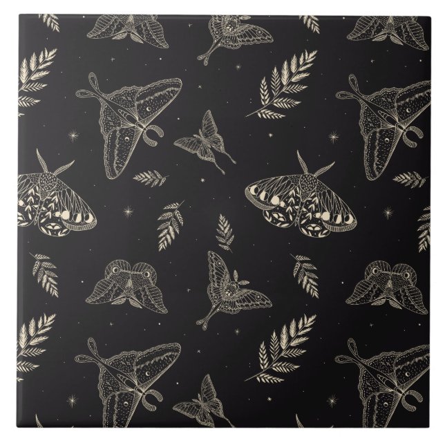 Padrão da borboleta da mariposa (Frente)