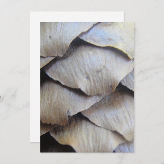 Padrão de abeto castanho (Frente/Verso)