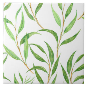 Padrão de aquarela Eucalyptus em branco