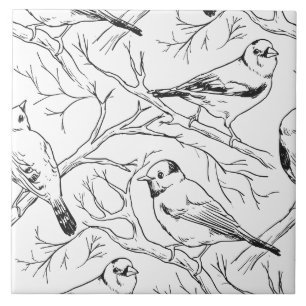Padrão de Arte de Linha de Aves Norte-Americanas M