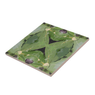 Padrão de árvore de amêndoa