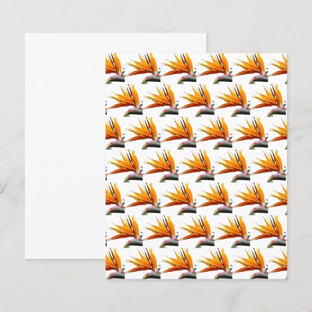 Padrão de Ave do Paraíso Laranja em Papel Branco (Frente/Verso)