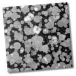 Padrão de Bolinhas dos Círculos Brancos Pretos Mod<br><div class="desc">Círculos Brancos Pretos Funchados Modernos Bolinhas Padrão Azulejo Cerâmica. Todo mundo ama um padrão de bolinhas! Esta tem uma bolha ou luzes olham para ela! Quer queiras usar este azulejo como uma pequena porta copos ou trivit para uma bebida ou prato... ou queres ficar grande com uma pancada de cozinha,...</div>