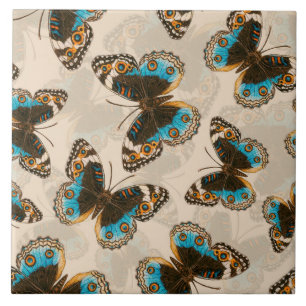 Padrão de Borboleta Azul Pansível em branco