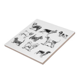 Padrão de Cães de Vintagem Pretos e Brancos