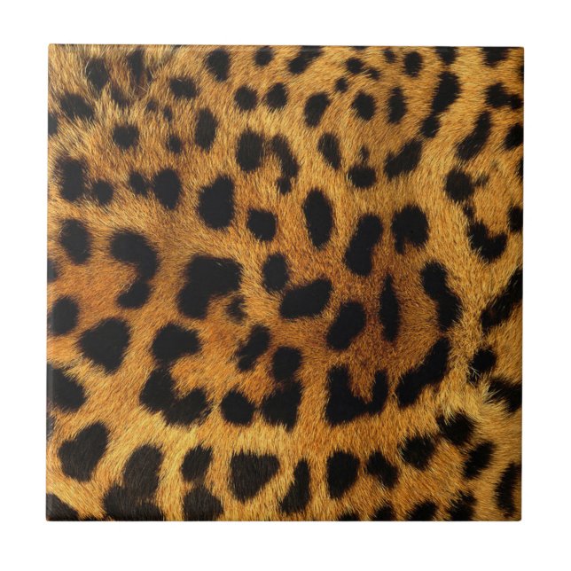 padrão de chic do animal marrom impressão leopardo (Frente)