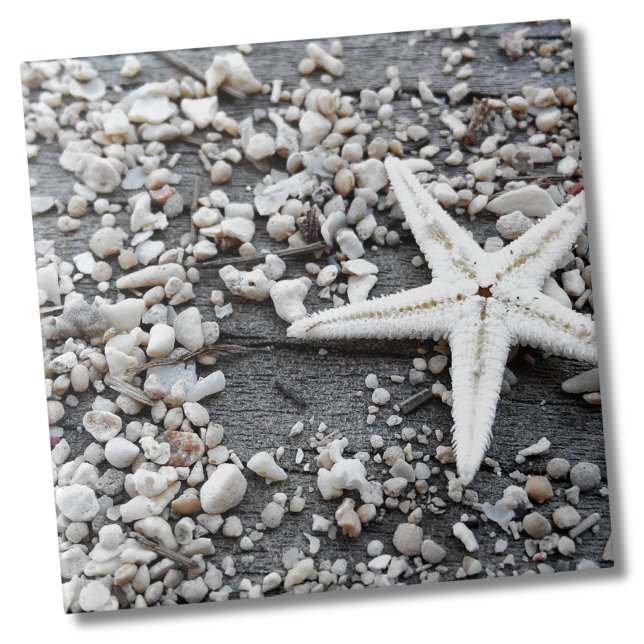 Padrão de concha marítima do oceano costeiro (Nautical White Starfish Shell Gray Sand Beach Ceramic Tile)