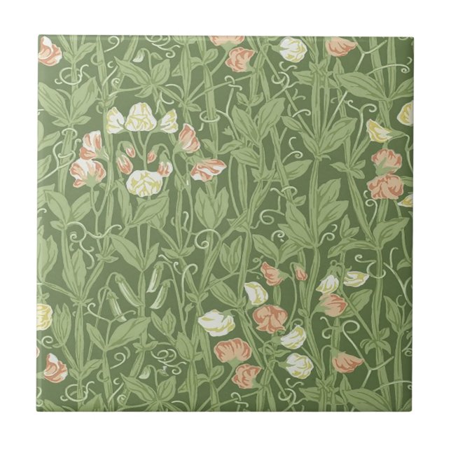 Padrão de Ervilha Doce William Morris Botânico Vin (Frente)