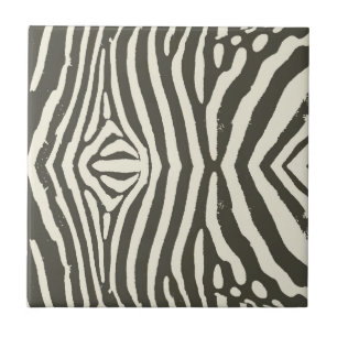 Padrão de Estampa Animal de Listra de Zebra Modern
