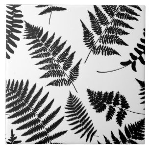 Padrão de Fern da Woodland, Preto e Branco 