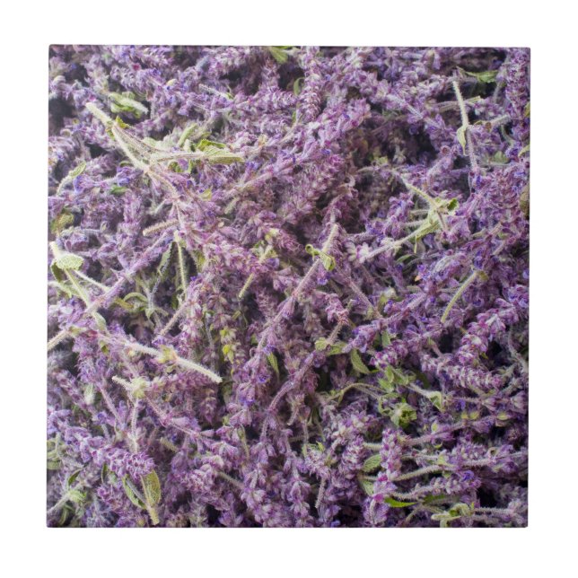 padrão de flores de lavanda (Frente)