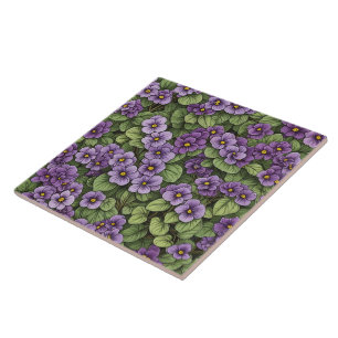 Padrão de flores violetas africanas