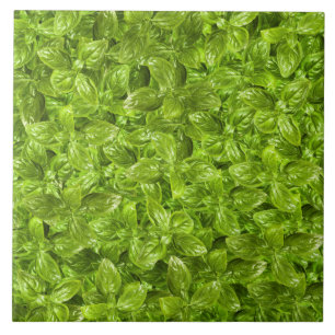 Padrão de Folhas de Basil