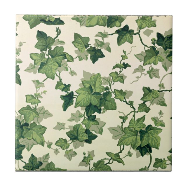 Padrão de Folhas de Ivy em Torção (Frente)