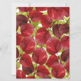 Padrão de Folhas de outono