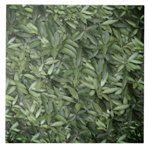 Padrão de Folhas Verde Lush - Botânica da Natureza