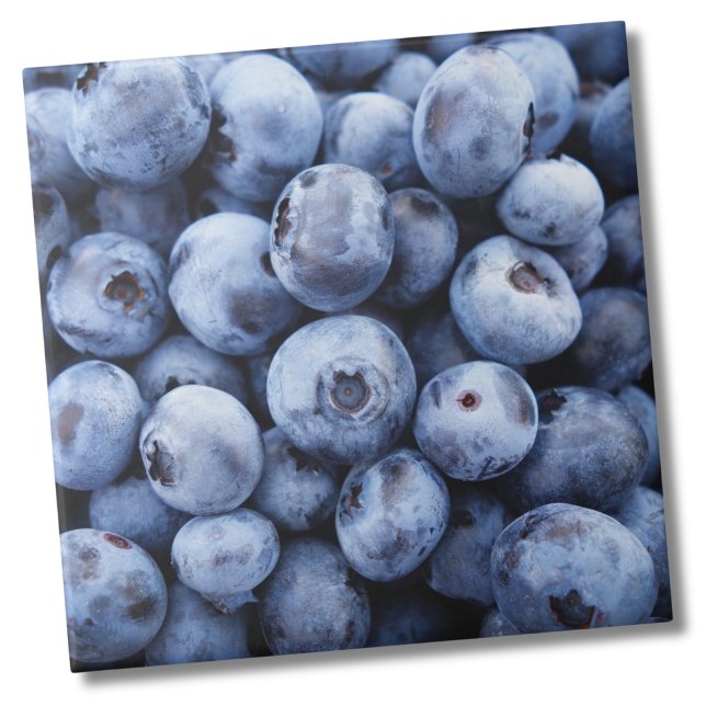 Padrão de Fruta de mirtilo (Cute Fun Kitchen Blueberry Fruit Pattern Ceramic Tile)