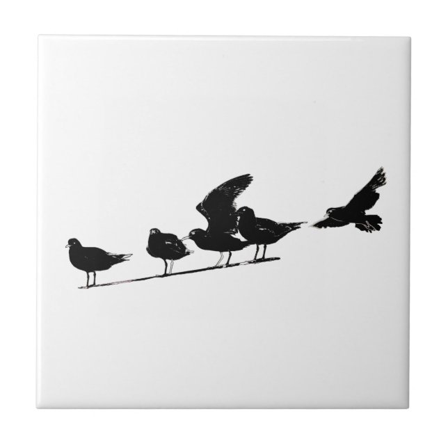 Padrão de Gaivota Esboçada Voando Sentada (Frente)