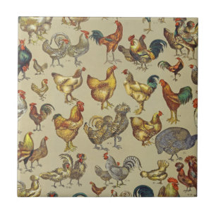 Padrão de Galo Vintage: Arte de Casa de Campo