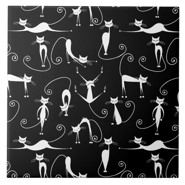 Padrão de Gatos Brancos Esbranquiçados (Frente)