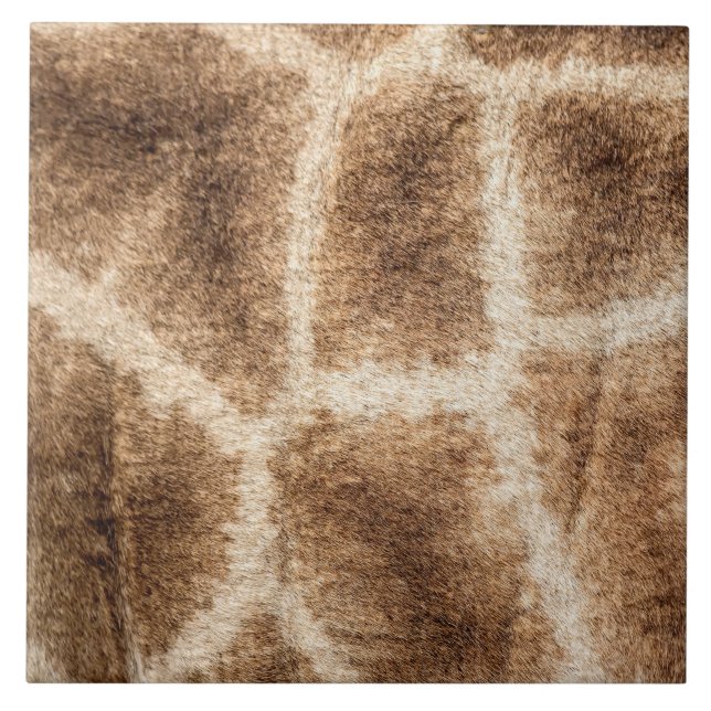 Padrão de Girafa (Frente)