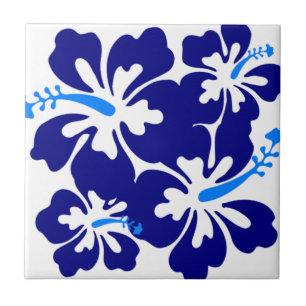 Padrão de Hibiscus Azul