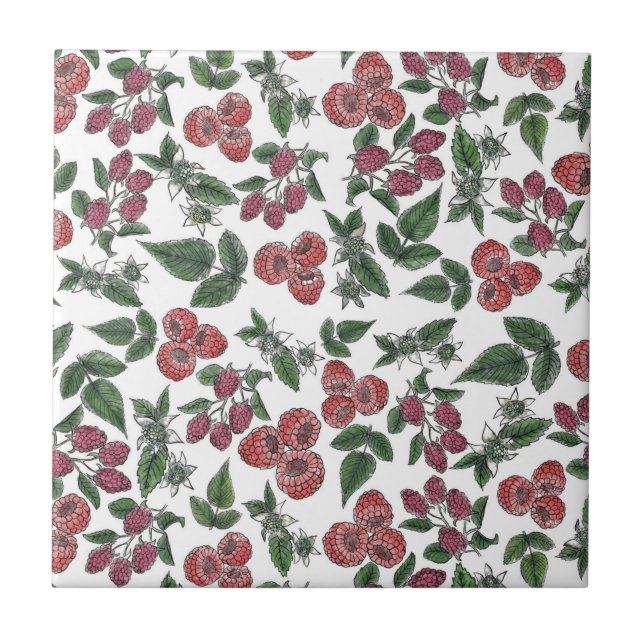 Padrão de Ilustração de Folhas de Fruta de Framboe (Frente)