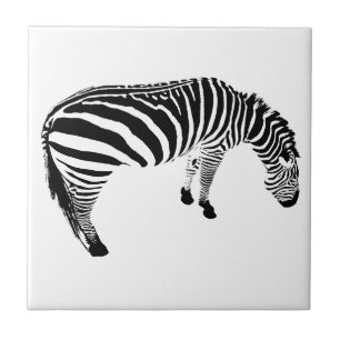 Padrão de impressão de zebra preto e branco em neg